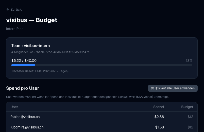 Budget-Übersicht im visibus Admin-Tool: Team-Budget mit Verbrauch und Spend pro User
